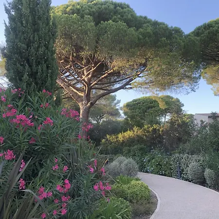 Superbe Pour 4, Climatise, Piscine Et Garage
